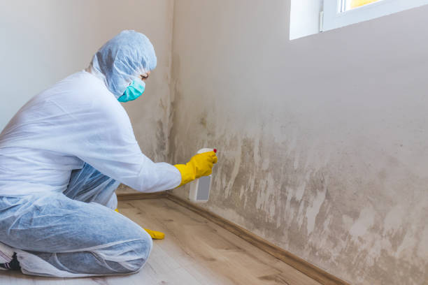 Mold inspector in Jackson performing thermal imaging